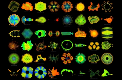 beautiful-data-small